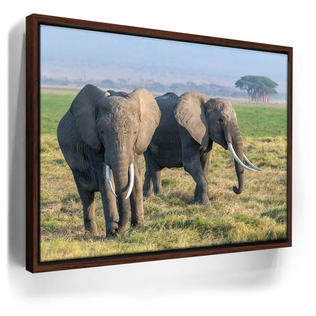 Featured image 11 for Tuskers of Kenya
