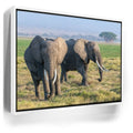 Featured image 7 for Tuskers of Kenya