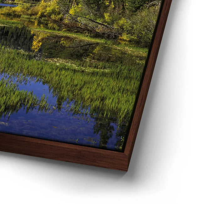 Featured image 15 for Twin Lakes Reflections