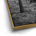 Thumbnail image 12 for Twist and Shout, Joshua Tree