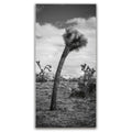 Featured image 1 for Twist and Shout, Joshua Tree