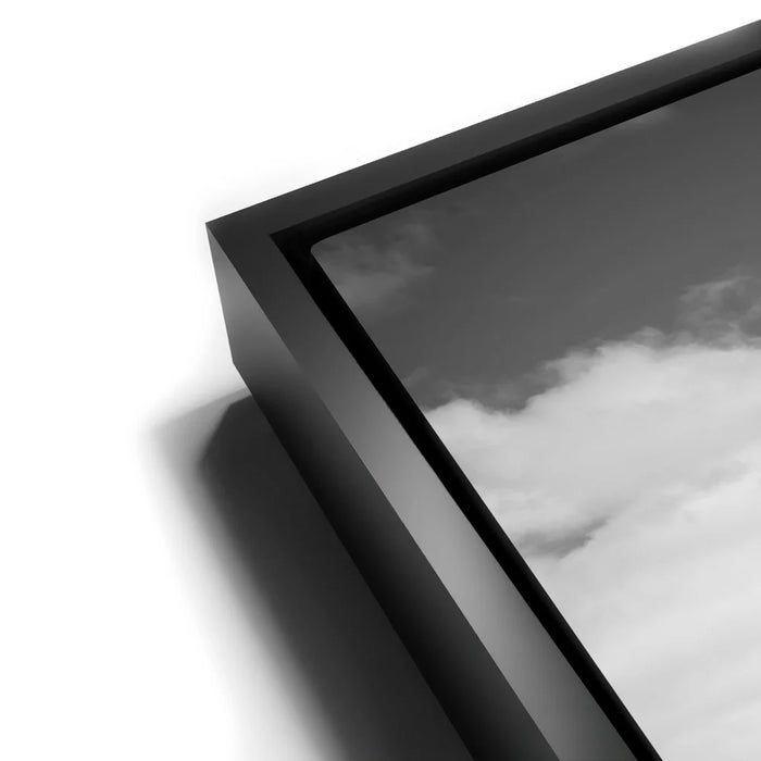 Featured image 11 for Twist and Shout, Joshua Tree