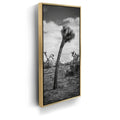 Featured image 7 for Twist and Shout, Joshua Tree
