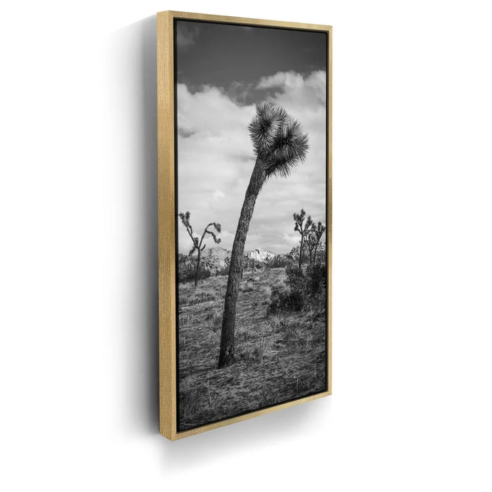 Featured image 7 for Twist and Shout, Joshua Tree