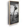 Featured image 9 for Twist and Shout, Joshua Tree