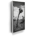 Featured image 8 for Twist and Shout, Joshua Tree