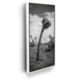 Featured image 6 for Twist and Shout, Joshua Tree