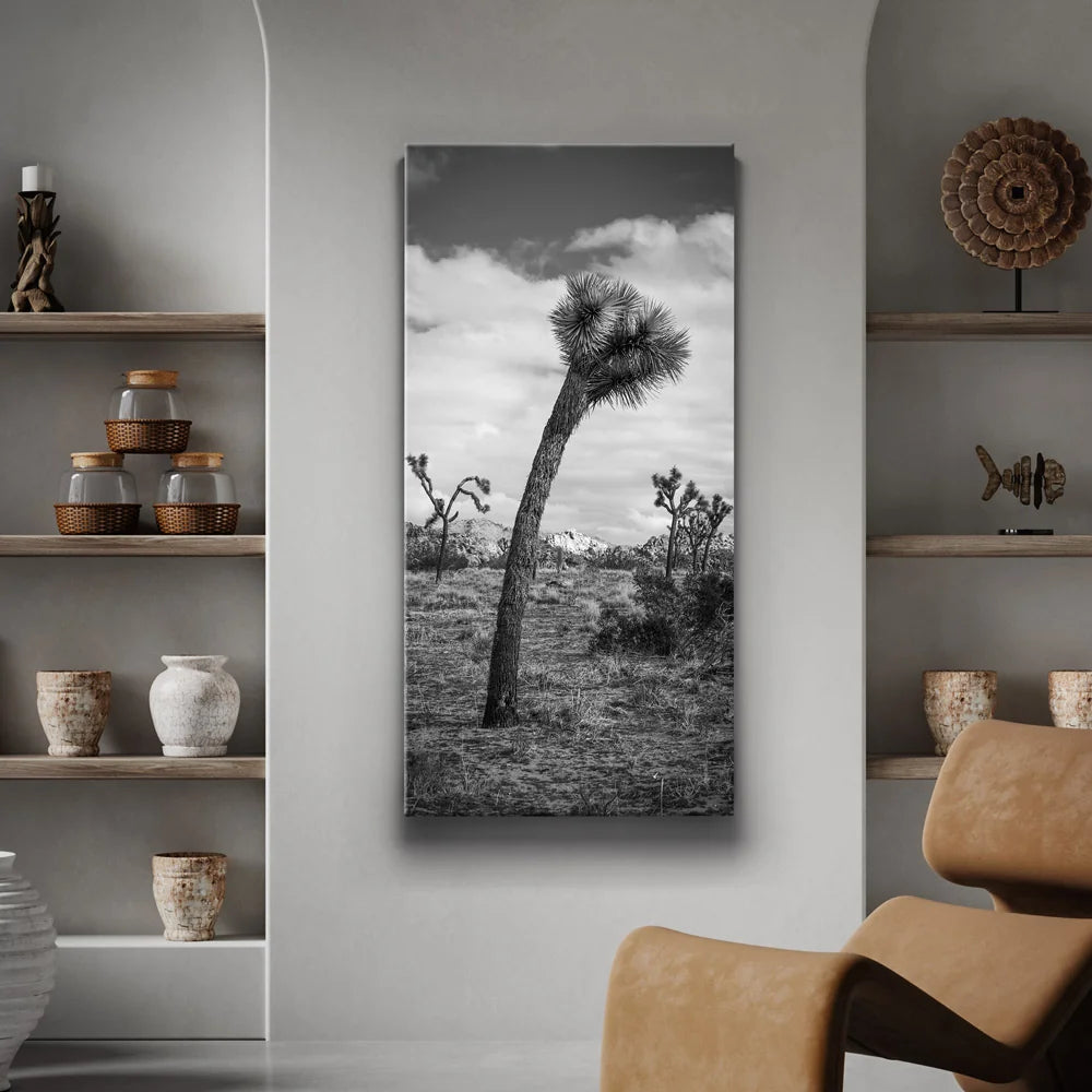 Featured image 2 for Twist and Shout, Joshua Tree
