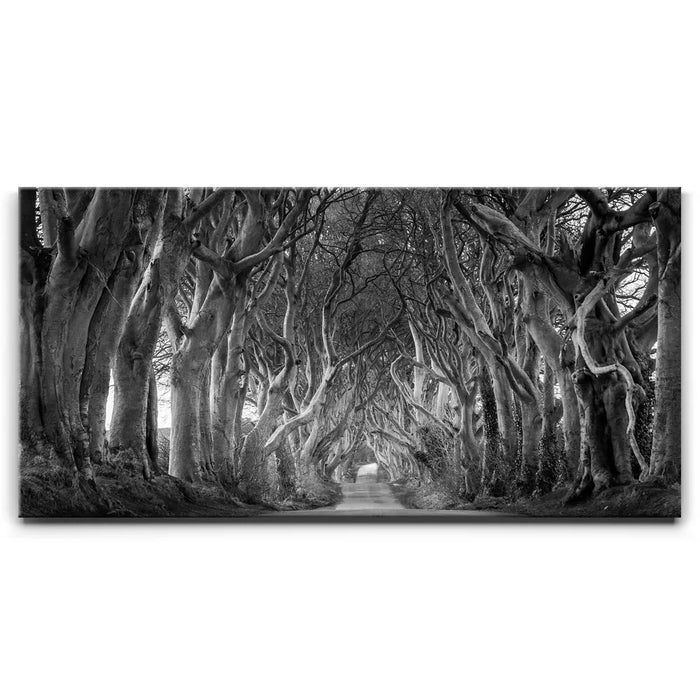 Featured image 1 for Twisted - Black and White