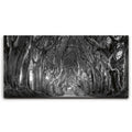Featured image 1 for Twisted - Black and White