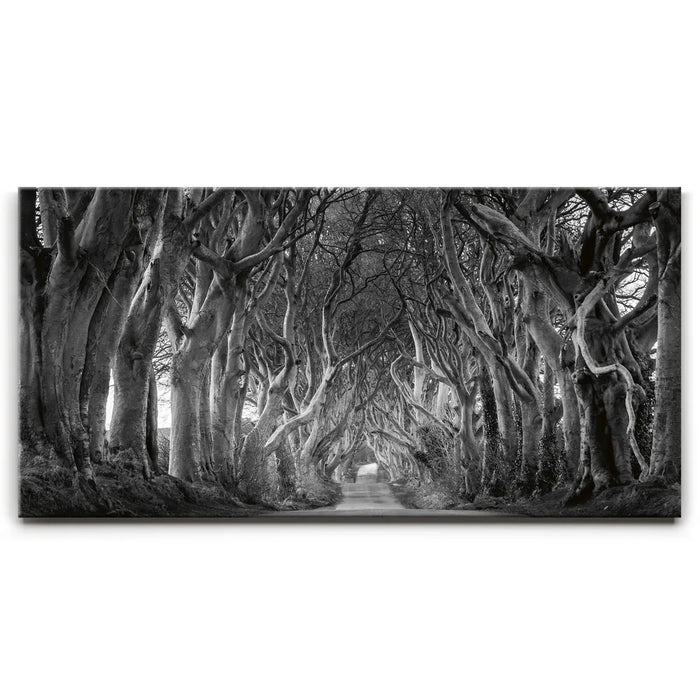 Featured image 1 for Twisted - Black and White