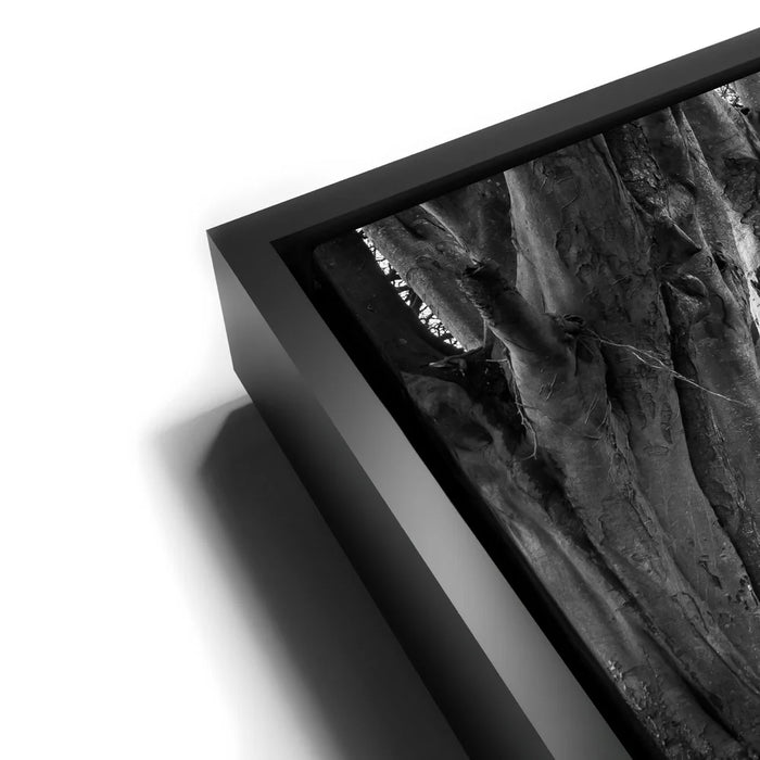 Featured image 11 for Twisted - Black and White