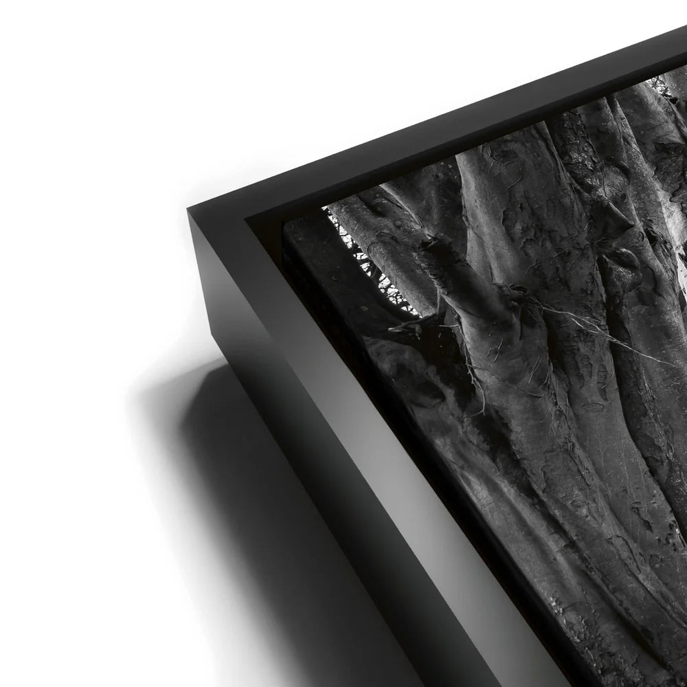 Featured image 11 for Twisted - Black and White