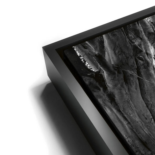 Featured image 11 for Twisted - Black and White