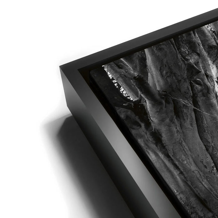 Featured image 11 for Twisted - Black and White