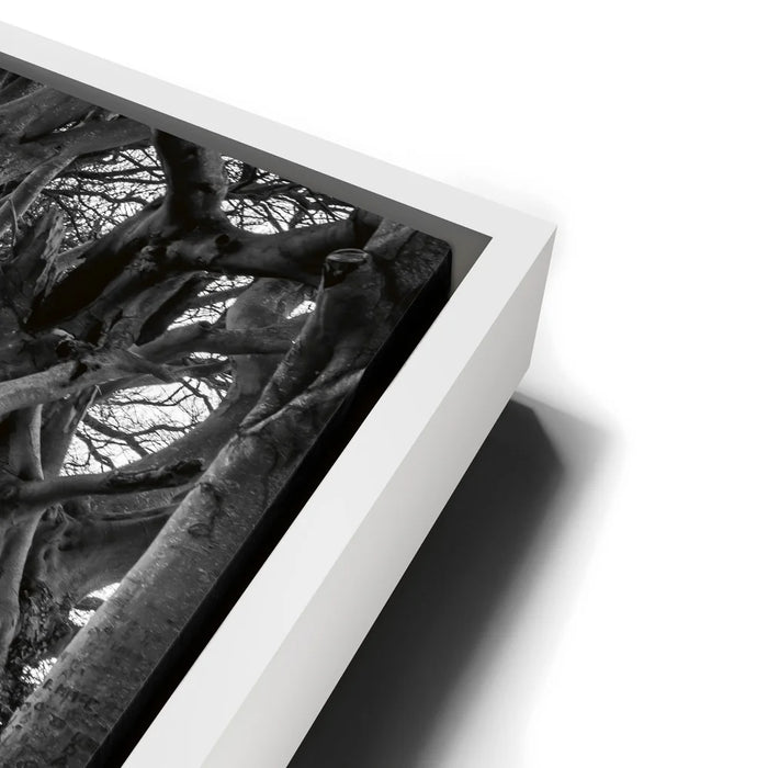 Featured image 13 for Twisted - Black and White