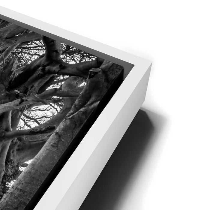 Featured image 13 for Twisted - Black and White