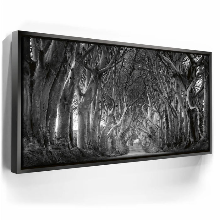 Featured image 5 for Twisted - Black and White