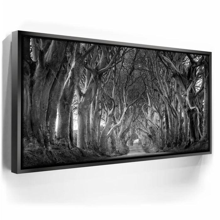 Featured image 5 for Twisted - Black and White