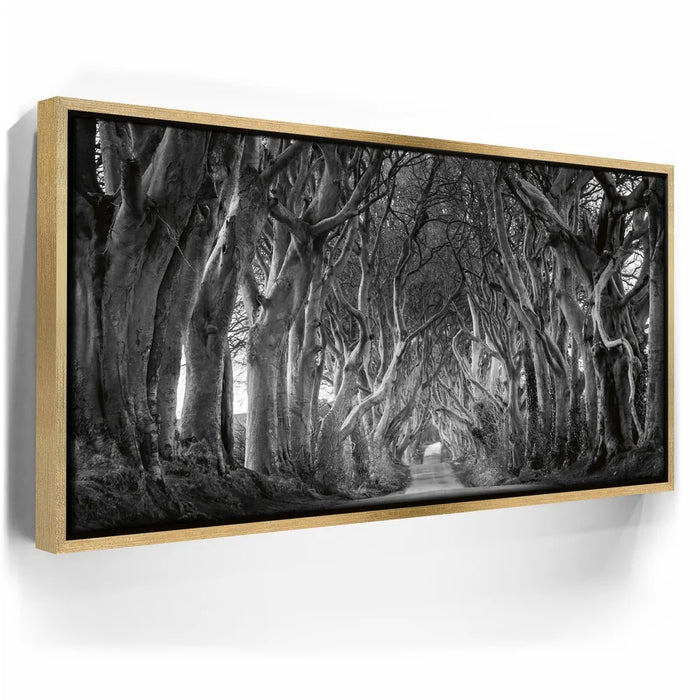 Featured image 7 for Twisted - Black and White