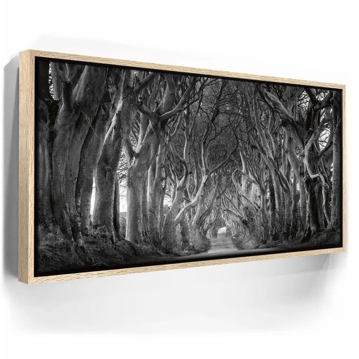 Featured image 9 for Twisted - Black and White