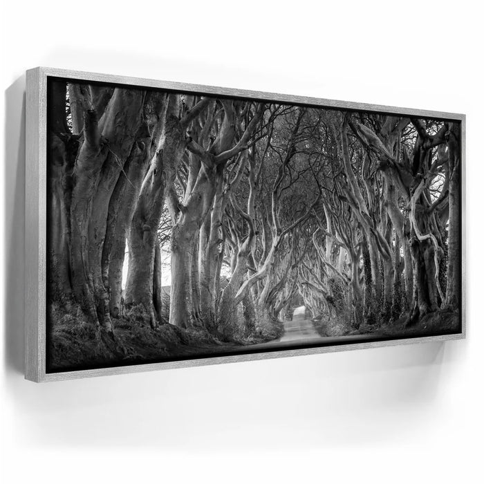 Featured image 8 for Twisted - Black and White