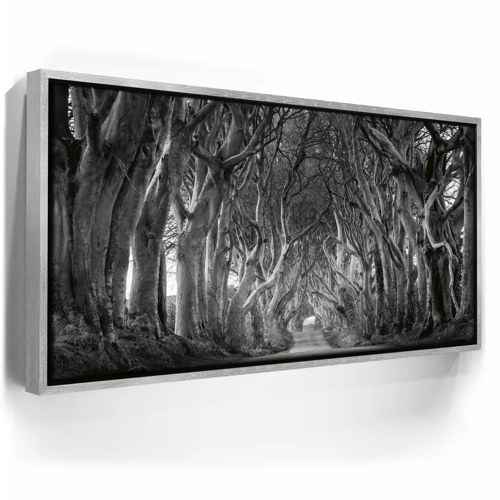 Featured image 8 for Twisted - Black and White