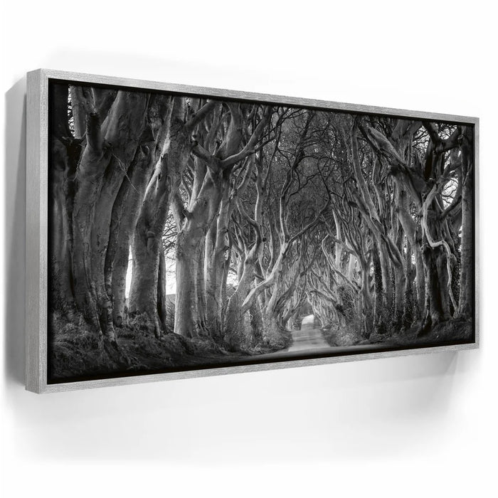 Featured image 8 for Twisted - Black and White