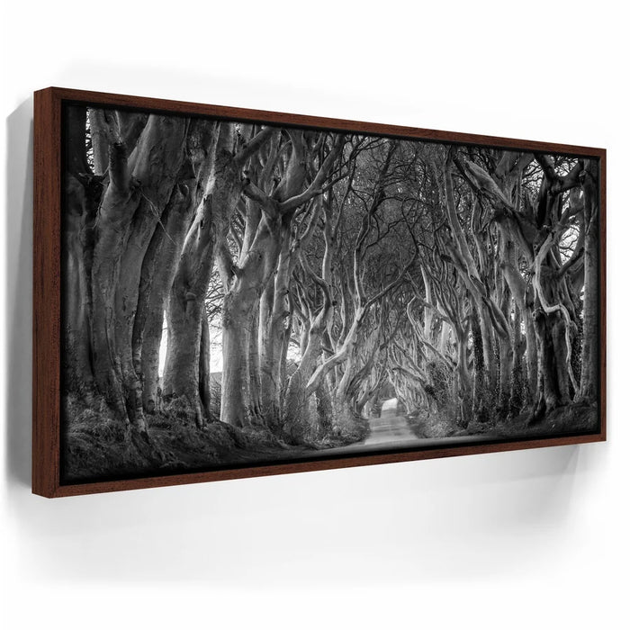 Featured image 10 for Twisted - Black and White