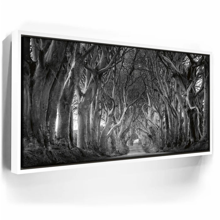 Featured image 6 for Twisted - Black and White