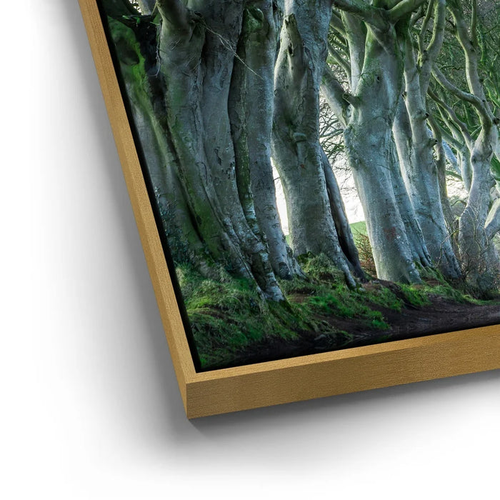 Featured image 12 for Twisted