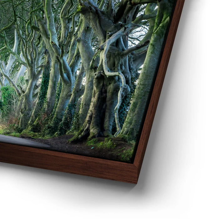 Featured image 14 for Twisted