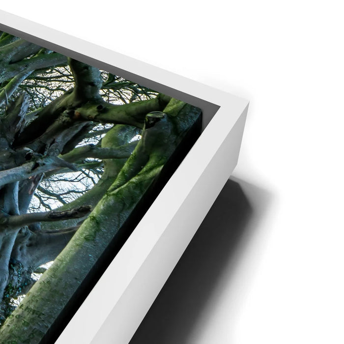 Featured image 13 for Twisted