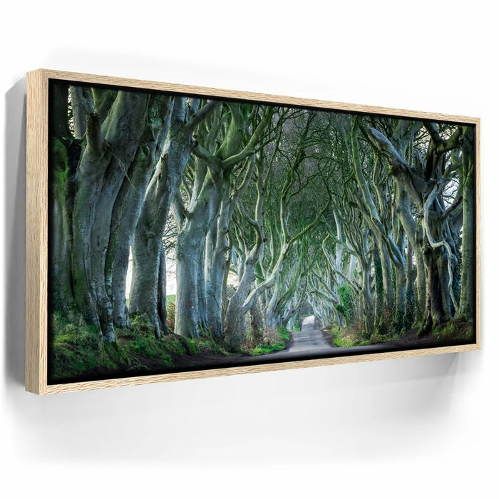 Featured image 9 for Twisted