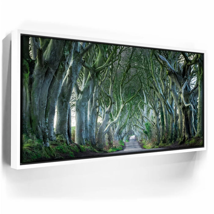 Featured image 6 for Twisted