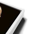 Thumbnail image 14 for USA, Draped in Destiny - Football