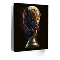 Thumbnail image 3 for USA, Draped in Destiny - Football