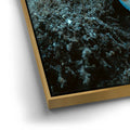 Thumbnail image 12 for Underwater Shrimp, Maui