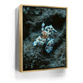 Featured image 7 for Underwater Shrimp, Maui