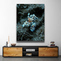 Thumbnail image 2 for Underwater Shrimp, Maui