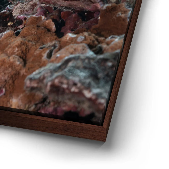 Featured image 14 for Underwater Star, Maui