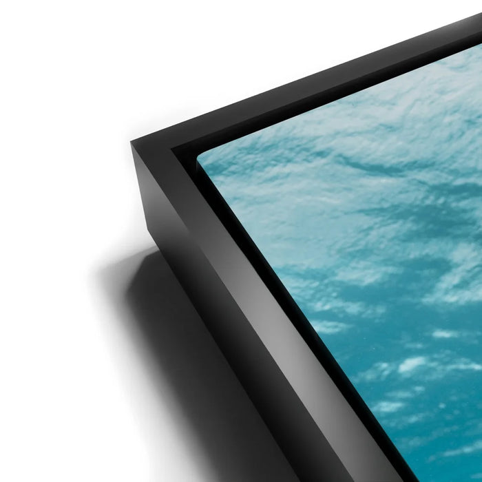 Featured image 11 for Underwater Star, Maui