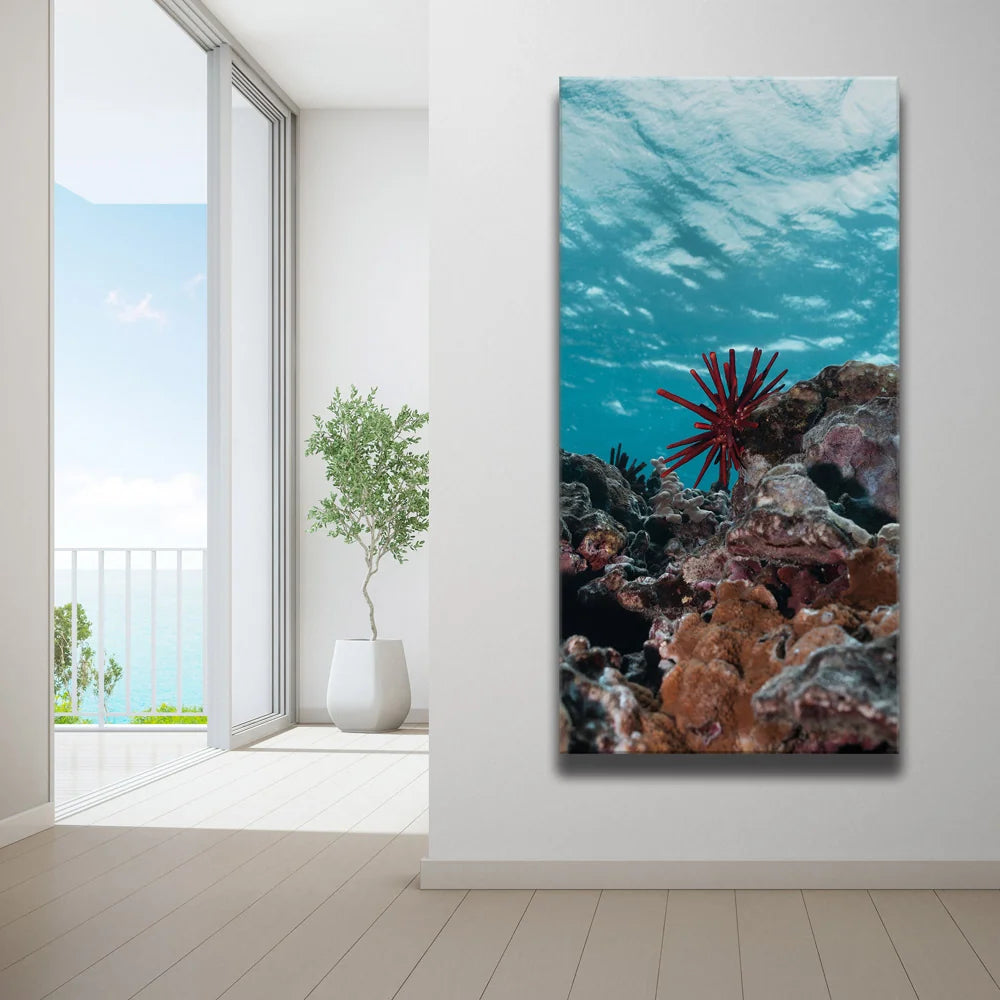 Featured image 2 for Underwater Star, Maui