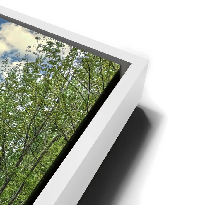 Featured image 13 for Unforgettable Friendships