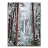 Featured image 1 for Upper Yosemite Falls In Winter