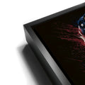 Thumbnail image 11 for USA, Draped in Destiny - Football