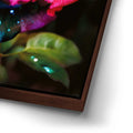Thumbnail image 14 for Violets Are Blue