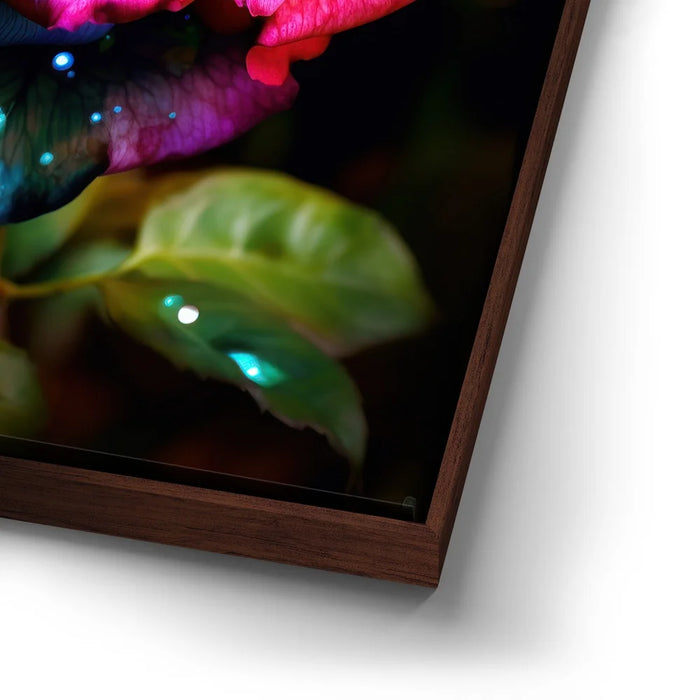 Featured image 14 for Violets Are Blue