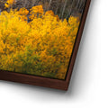 Thumbnail image 14 for Water Fall
