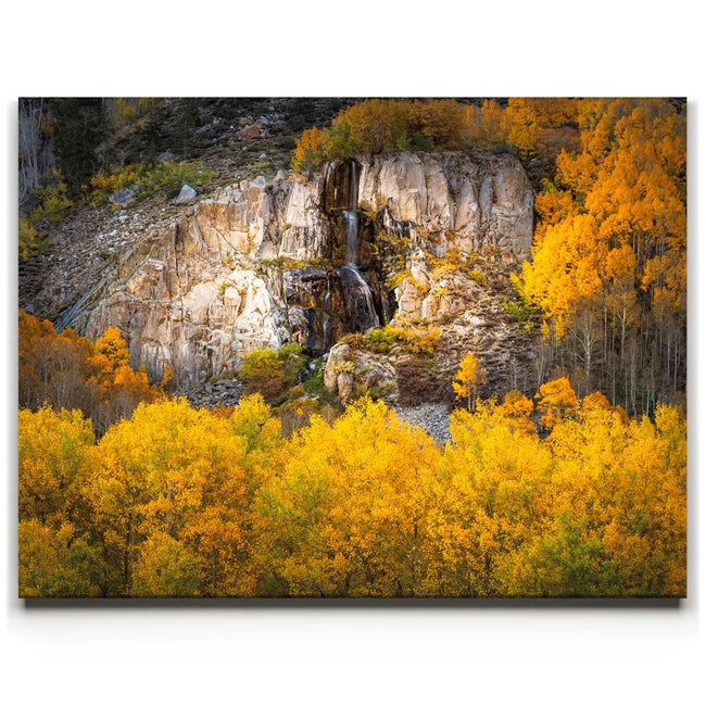 Featured image 1 for Water Fall